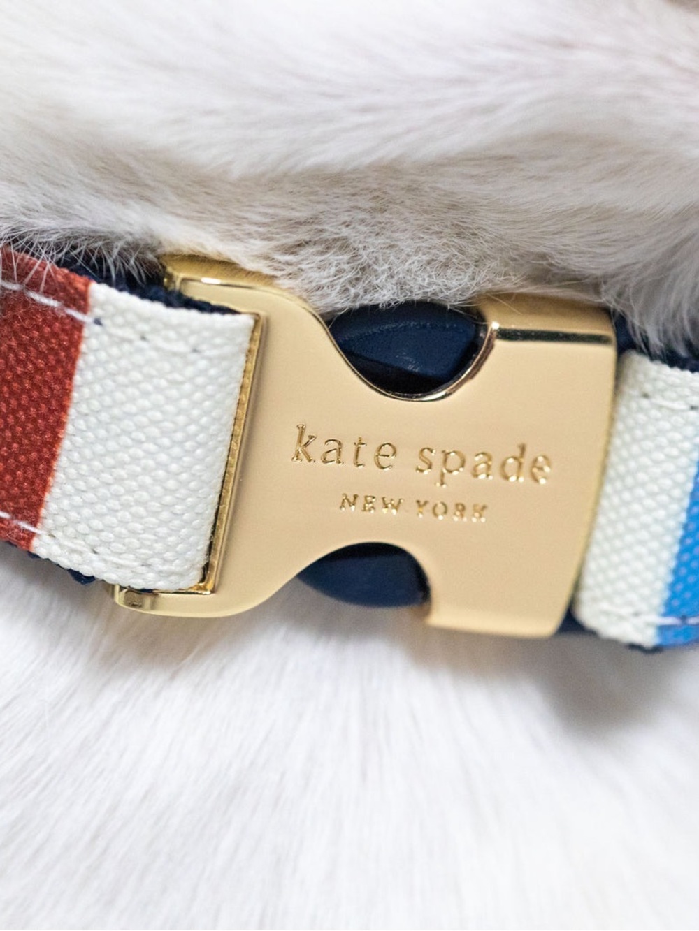 Kate Spade NY Adventure Stripe Dog Collar & Leash Combo - - Picture 15 of 16